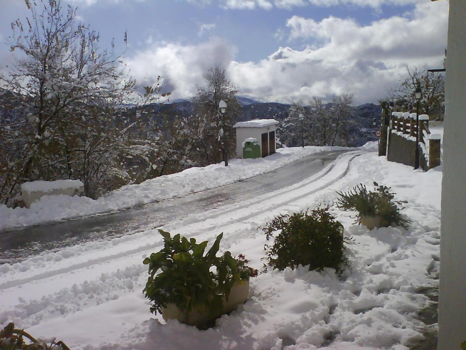 Hotel Rural San Roque Pitres Dış mekan fotoğraf